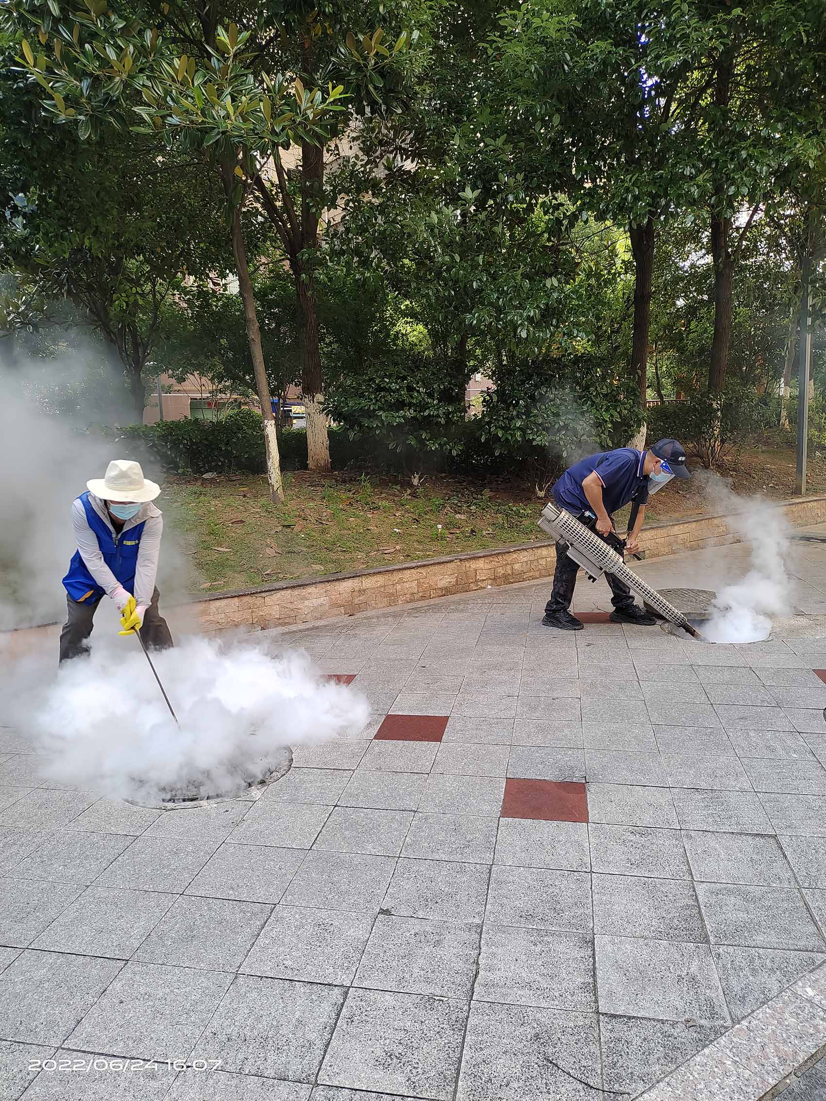 小区蚊蝇蟑螂密度控制服务